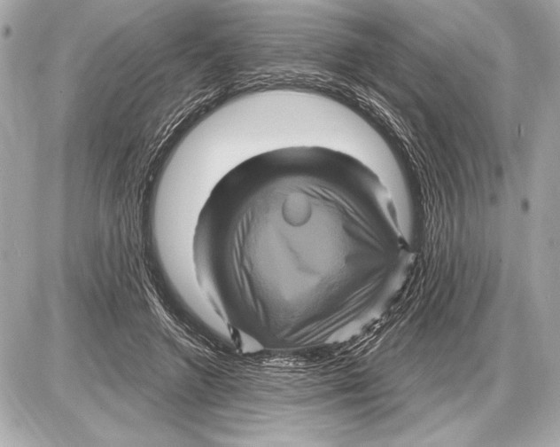 X0000085820546200704091635