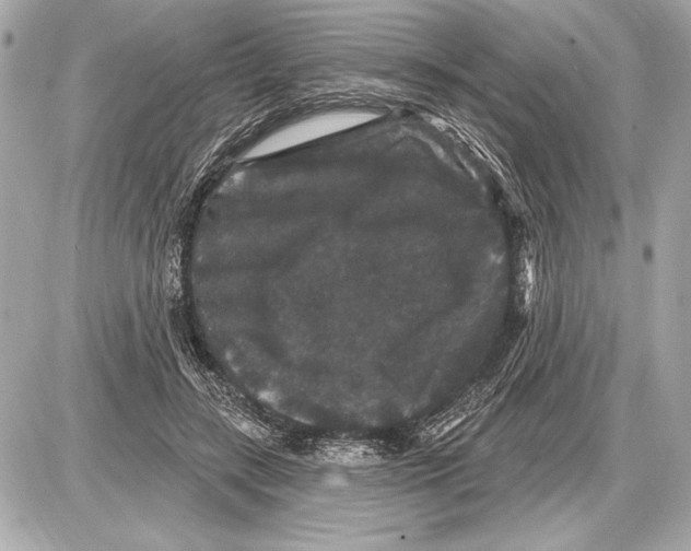 X0000085820547200704091635