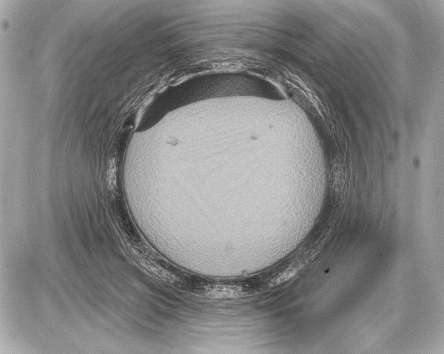 X0000085820549200704091635