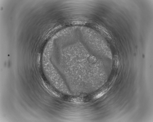 X0000085820550200704091635