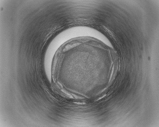 X0000085820552200704091635