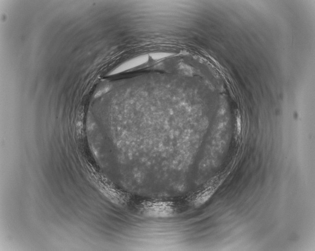 X0000085820553200704091635