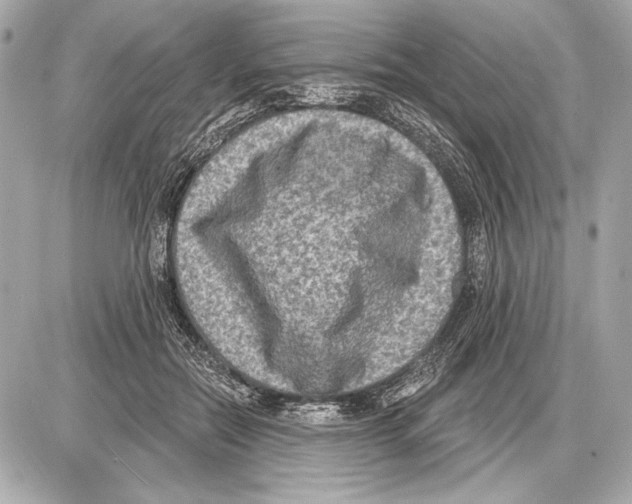 X0000085820554200704091635