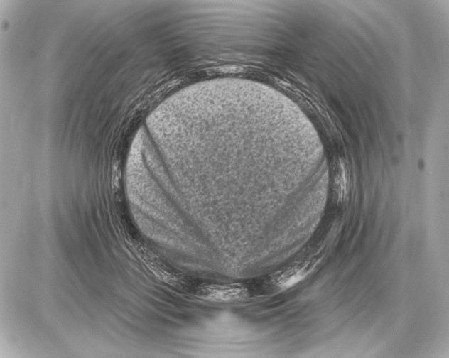 X0000085820555200704091635