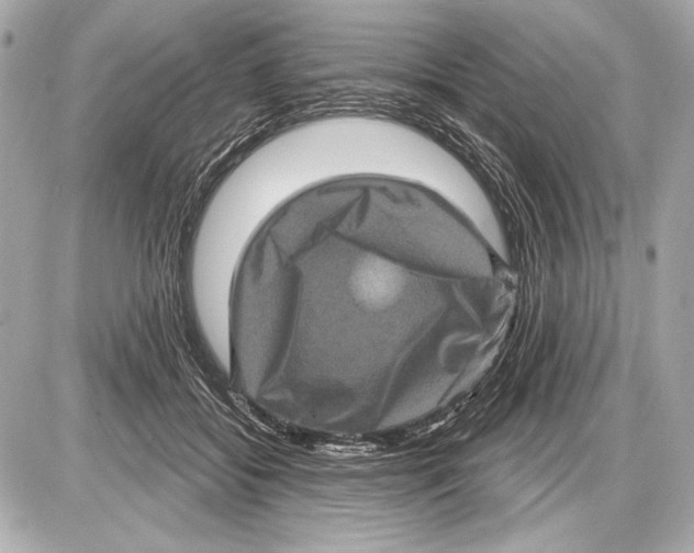 X0000085820556200704091635