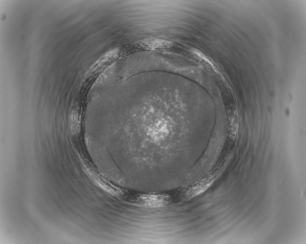 X0000085820558200704091635