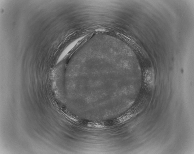 X0000085820559200704091635