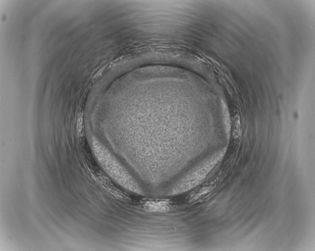 X0000085820560200704091635