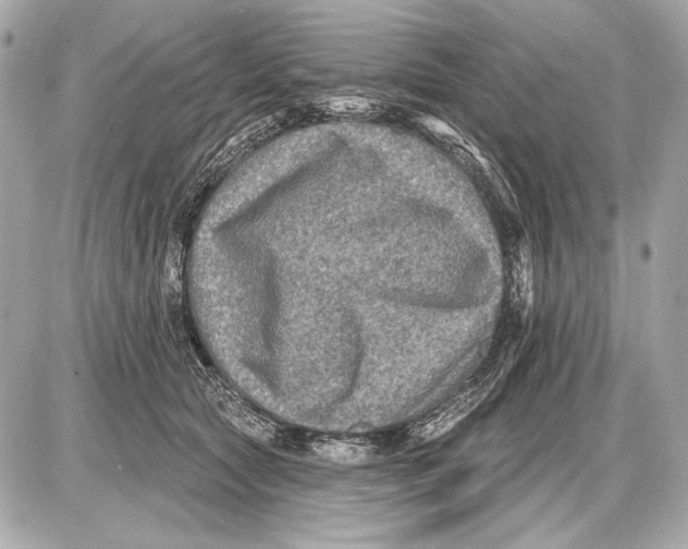 X0000085820561200704091635