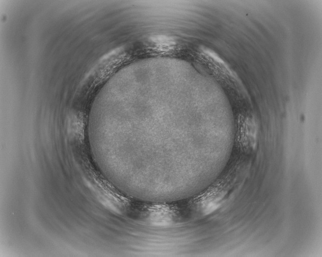 X0000085820562200704091635