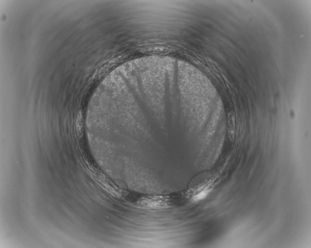 X0000085820563200704091635