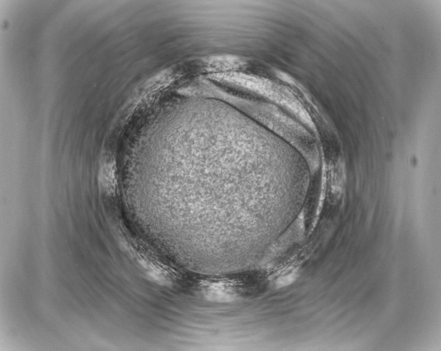 X0000085820564200704091635