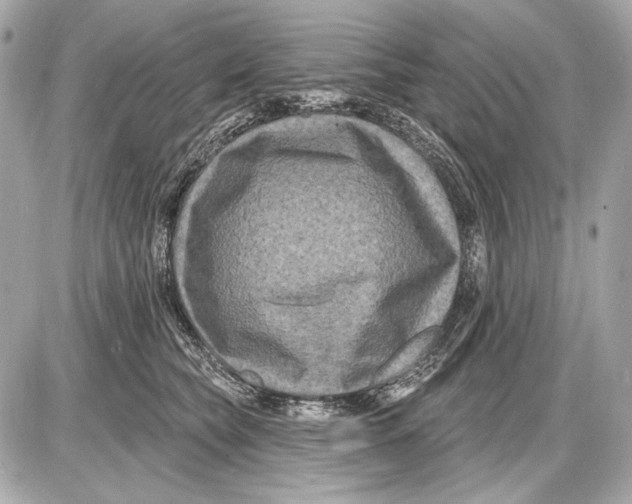 X0000085820565200704091635