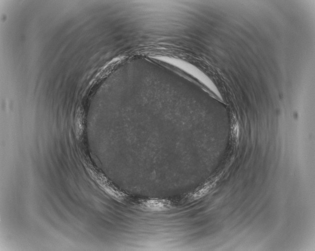 X0000085820566200704091635