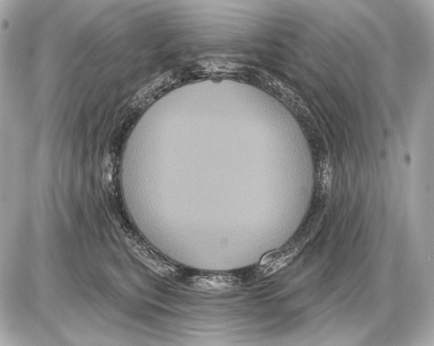 X0000085820567200704091635