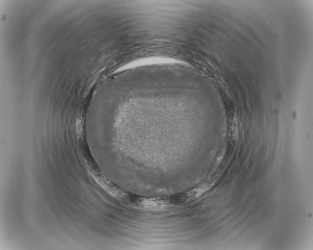 X0000085820568200704091635