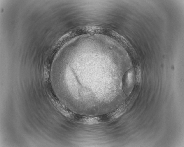 X0000085820569200704091635