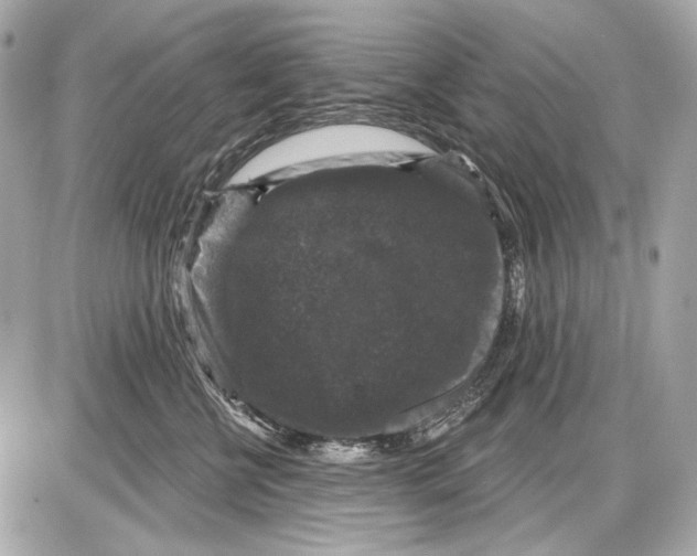 X0000085820570200704091635