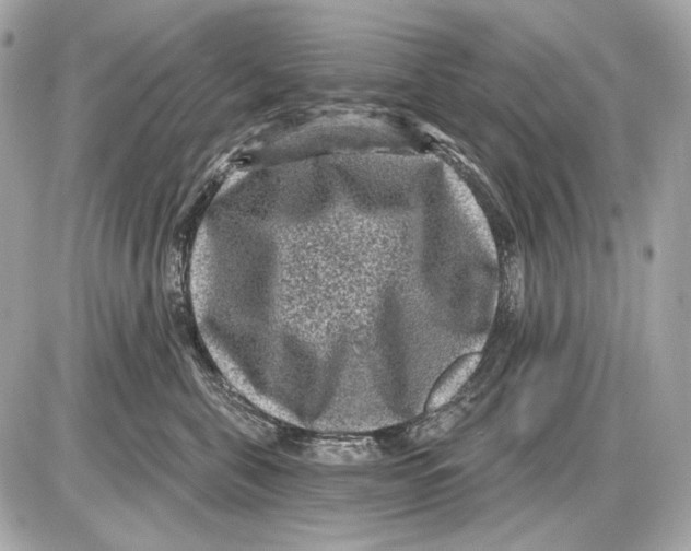 X0000085820571200704091635