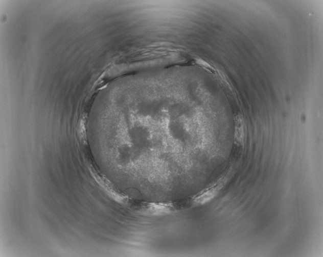 X0000085820573200704091635