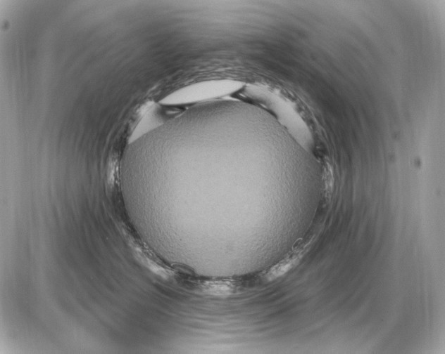 X0000085820574200704091635