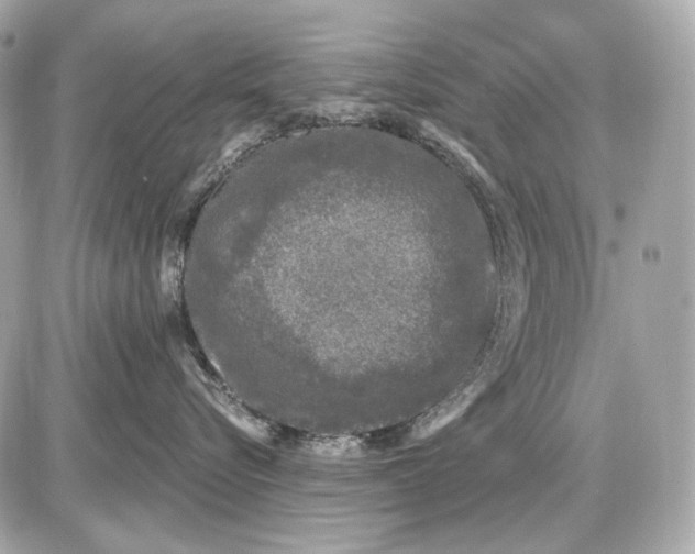 X0000085820576200704091635