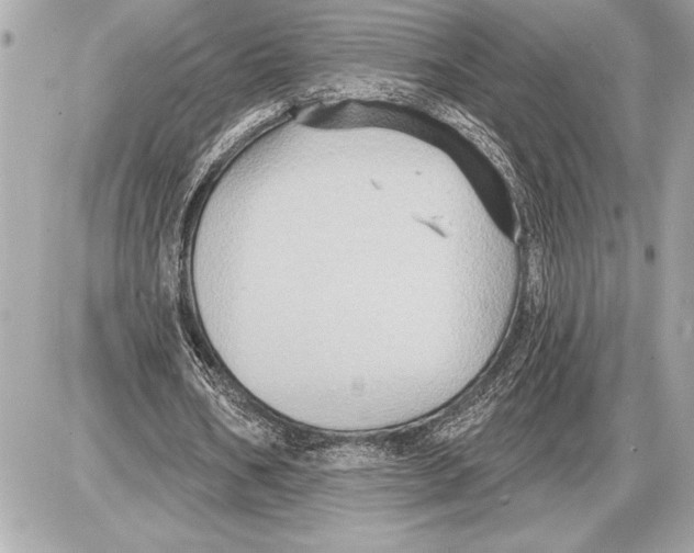 X0000085820578200704091634