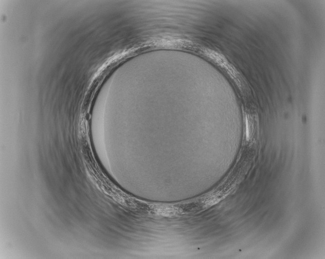 X0000085820579200704091634