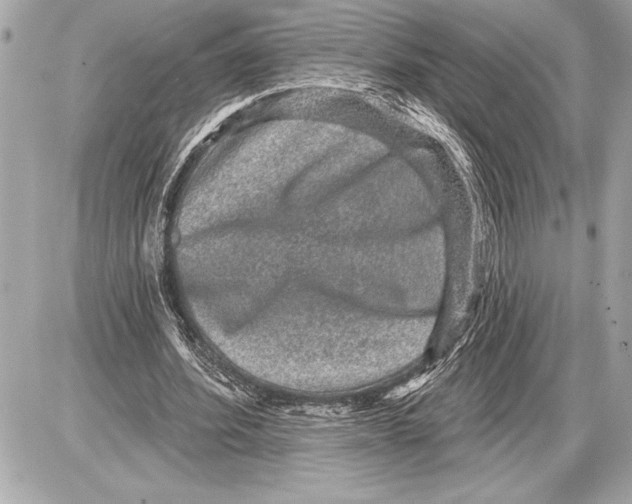 X0000085820580200704091634