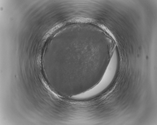 X0000085820581200704091634