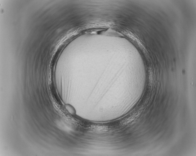 X0000085820582200704091634