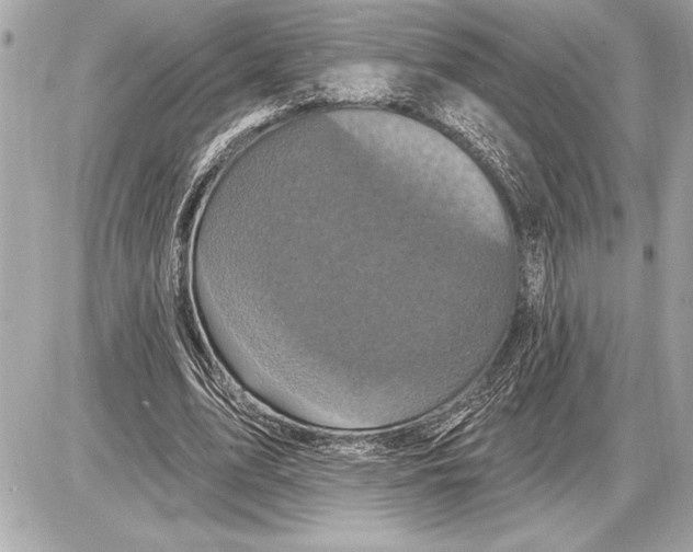 X0000085820583200704091634