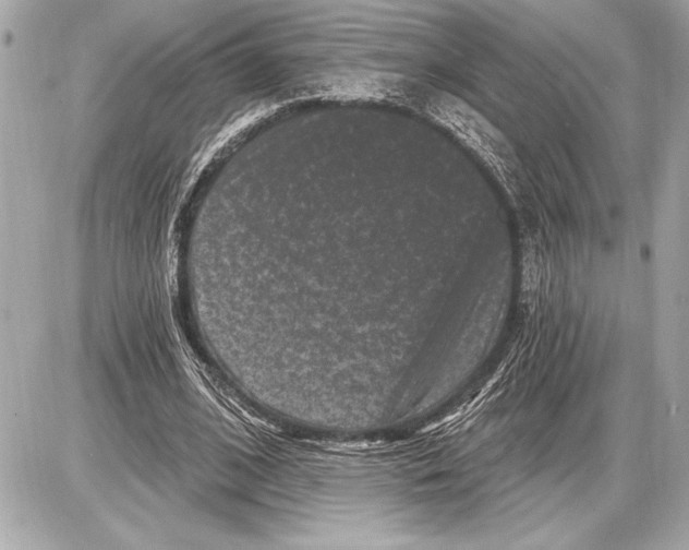 X0000085820584200704091634