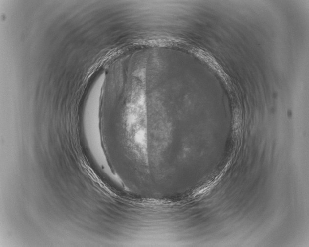 X0000085820585200704091634