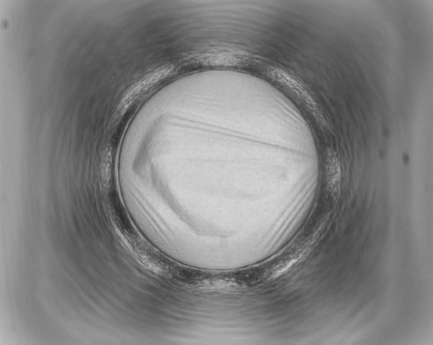 X0000085820586200704091634