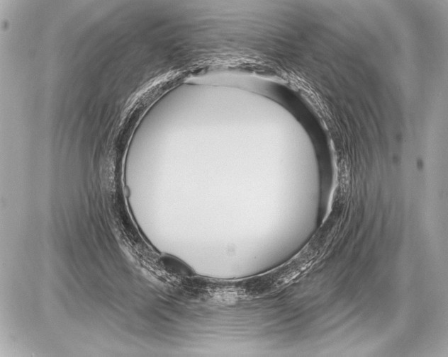 X0000085820587200704091634