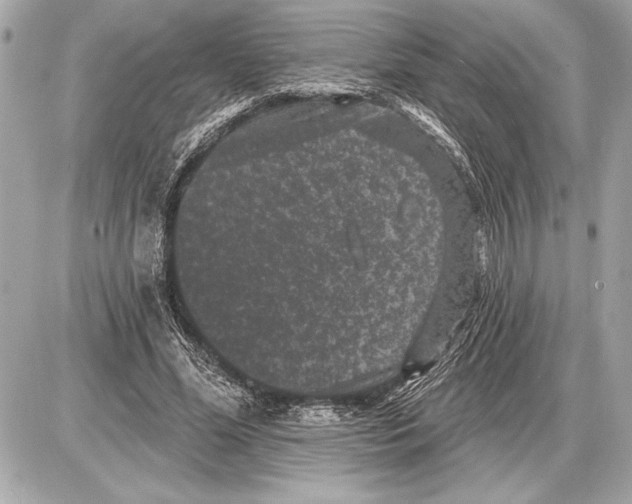 X0000085820588200704091634