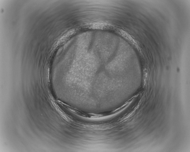 X0000085820589200704091634