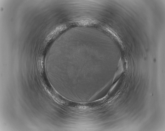 X0000085820590200704091634