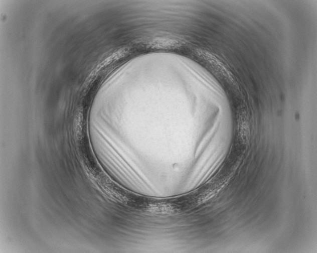 X0000085820591200704091634