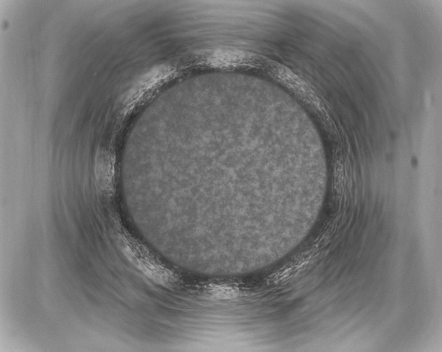 X0000085820592200704091634