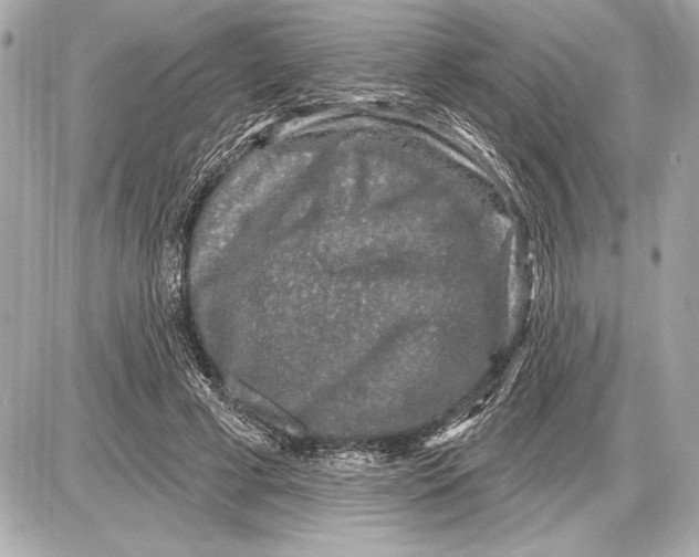 X0000085820593200704091634