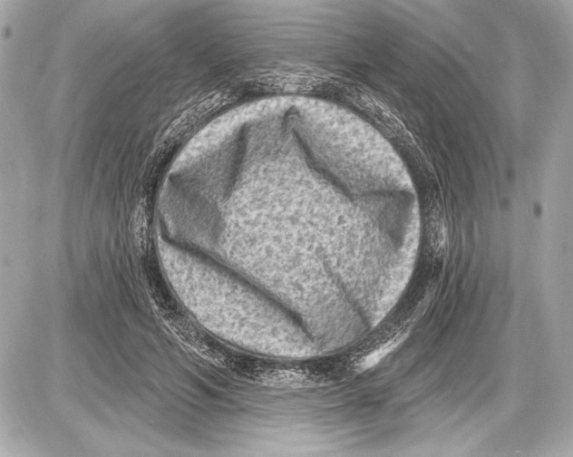 X0000085820594200704091634