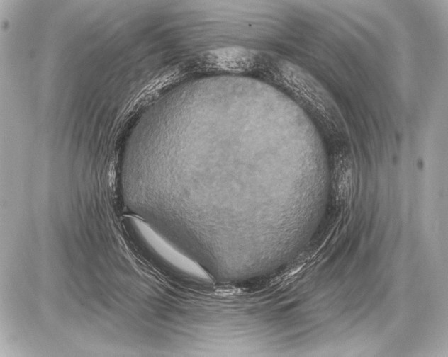 X0000085820595200704091634