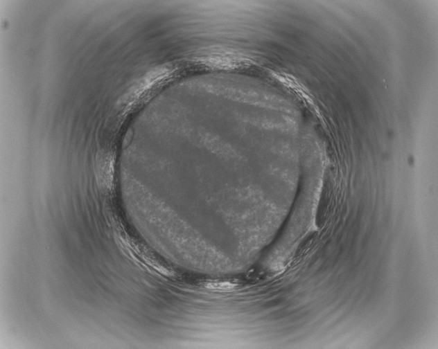 X0000085820596200704091634