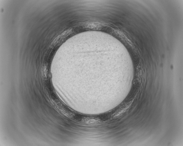 X0000085820597200704091634