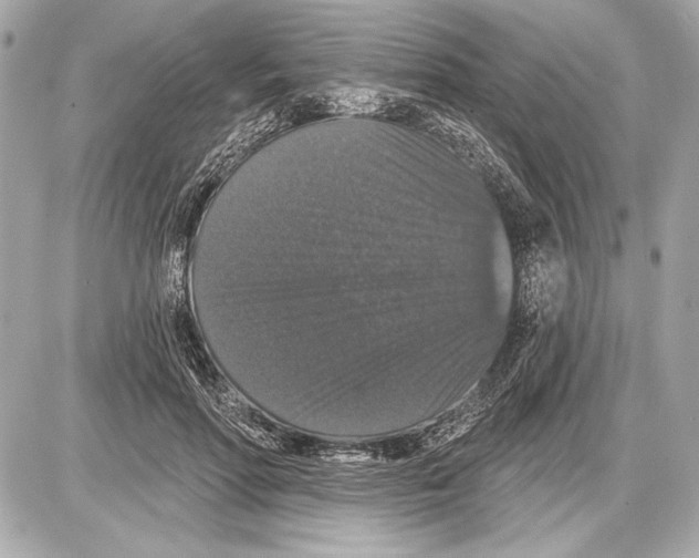 X0000085820598200704091634