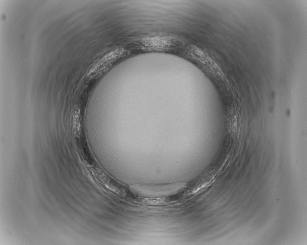 X0000085820599200704091634