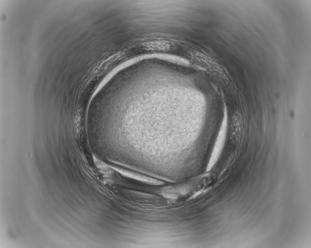 X0000085820600200704091634