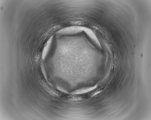 X0000085820601200704091634